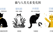 探讨吃猫，一个深层含义与文化视角的解析