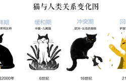 探讨吃猫，一个深层含义与文化视角的解析