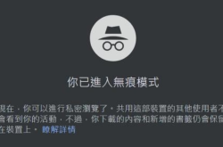 探索网络自由，哪个浏览器不屏蔽成人内容网站？