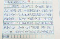 记一次游戏300字作文