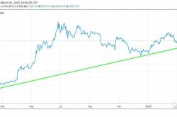 制定基于情绪管理的比特币投资决策策略