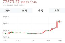 制定基于数字货币在线行情的成功投资策略