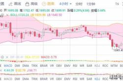 比特币走势最新消息市场动态与投资策略分析