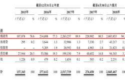 制定基于数据驱动的决策策略以优化比特大陆芯片的研发与市场应用