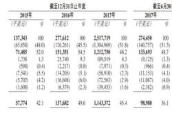 制定基于情绪智能的成功计划以比特大陆为目标的决策策略