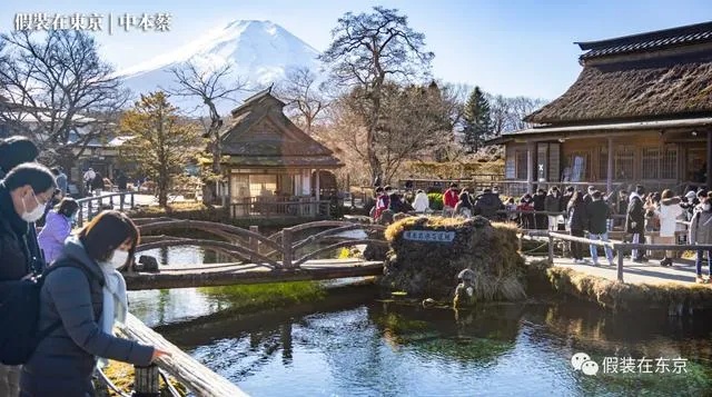 富士山下泉水池中的硬币奇观