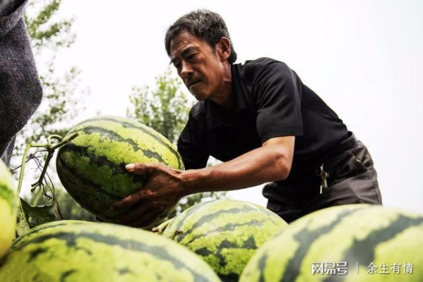 西瓜涨价背后的瓜农与合同之争