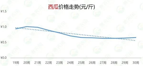 西瓜价格大涨背后的原因与影响分析