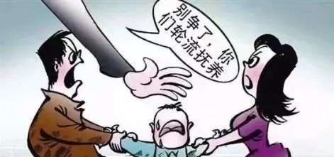 夫妻缘何争抚养权？各执己见为那十三只乌龟