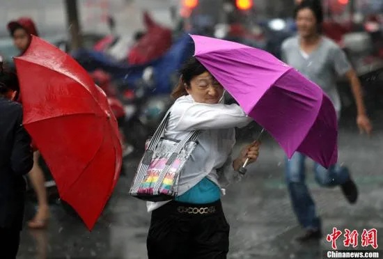 台风中的瑜伽挑战，市民在风雨中展现坚韧与平和