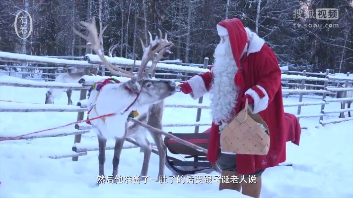 圣诞奇遇记，寻找失落的圣诞老人——一场穿越雪域的冒险旅程