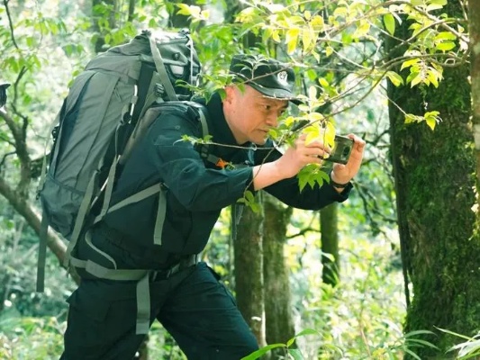 哀牢山神秘科考之旅，鸟叫声如人语之谜