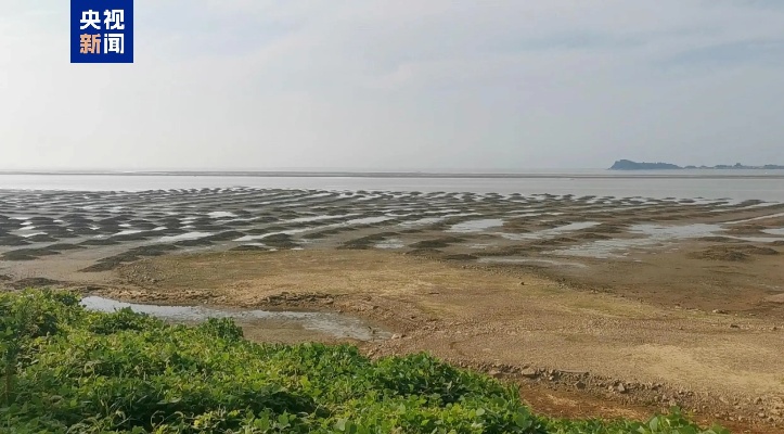 江西鄱阳湖跌破极枯水位背后的生态挑战与应对策略