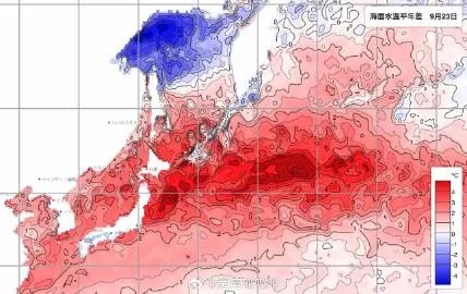 日本多地水体污染严重，原因与影响分析