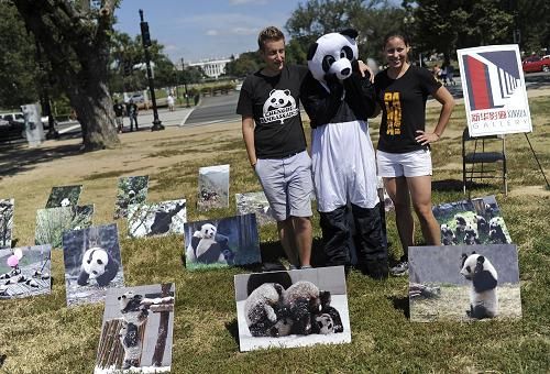 美国首都华盛顿超隆重迎接熊猫抵达，跨越国界的友谊与尊重