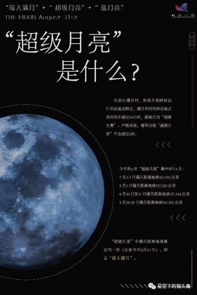 探索未知，揭秘天下蓝月亮，全面资料解析与攻略大赏