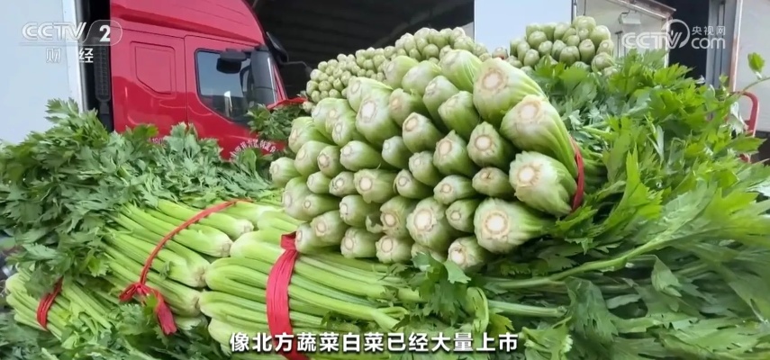 秋季蔬菜大量上市供应充足