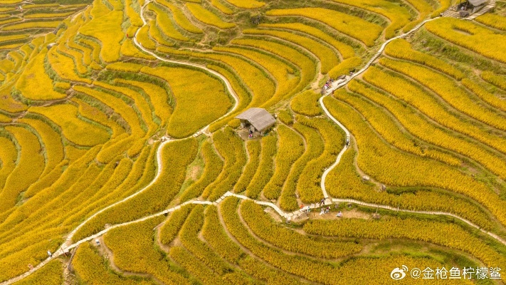 这就是秋天里的大美中国