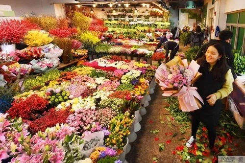 花卉的奢华世界，揭秘鲜花市场的价格迷思