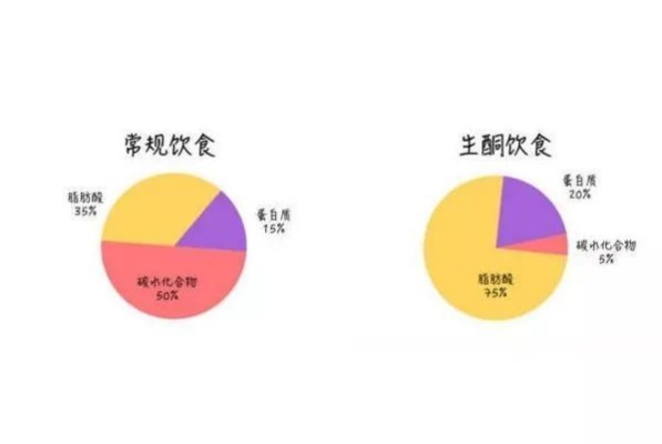 营养专家揭示，瑞士卷与饭碗的等量秘密