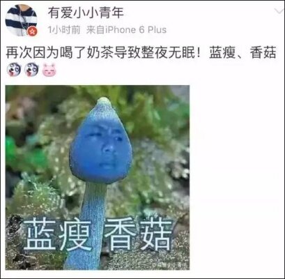 揭秘网络热词，蓝瘦香菇背后的深情与无奈