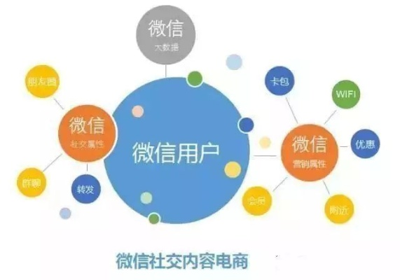 深度解析，微信804现象，解锁你的社交网络新维度