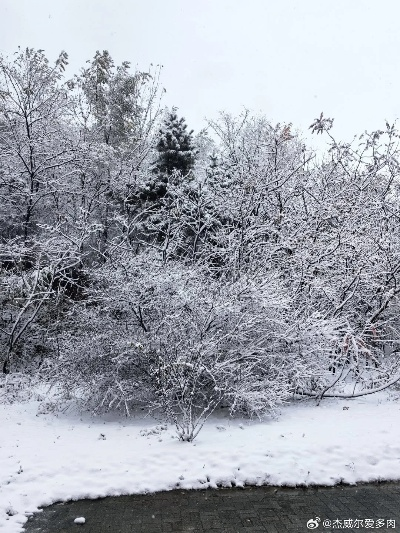 东北局地的雪，紫到深沉