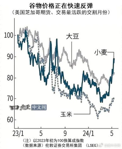 谷子消费背后的故事，一次冲动引发的经济风暴