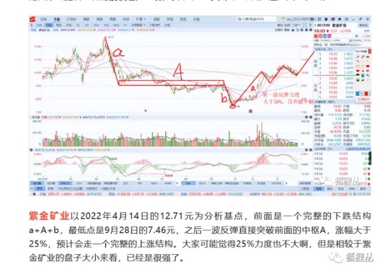 掌握鑫网通达信行情，深度解析与实战策略