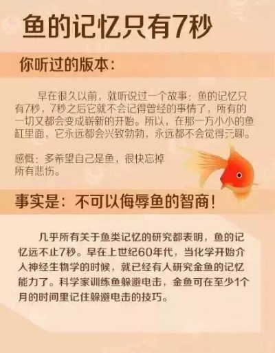 鱼的记忆真的只有七秒吗？揭秘鱼类记忆的科学真相