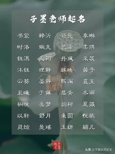 宝宝起名的艺术，如何利用宝宝起名软件找到完美的名字