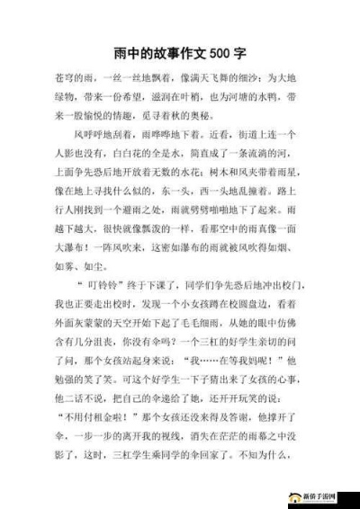 雨后的小故事，探索生活中的点滴智慧与成长